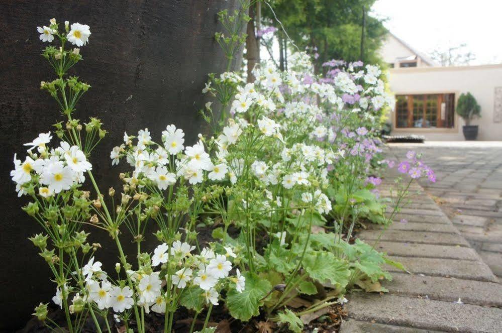 The Lapha Guesthouse & Conference Centre Dundee Zewnętrze zdjęcie